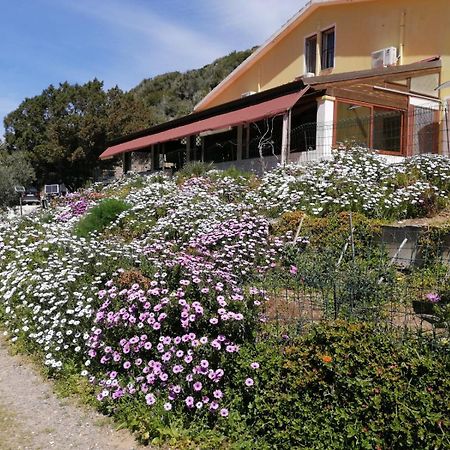 Il Lentischio Hotel Cala Sapone Exterior photo